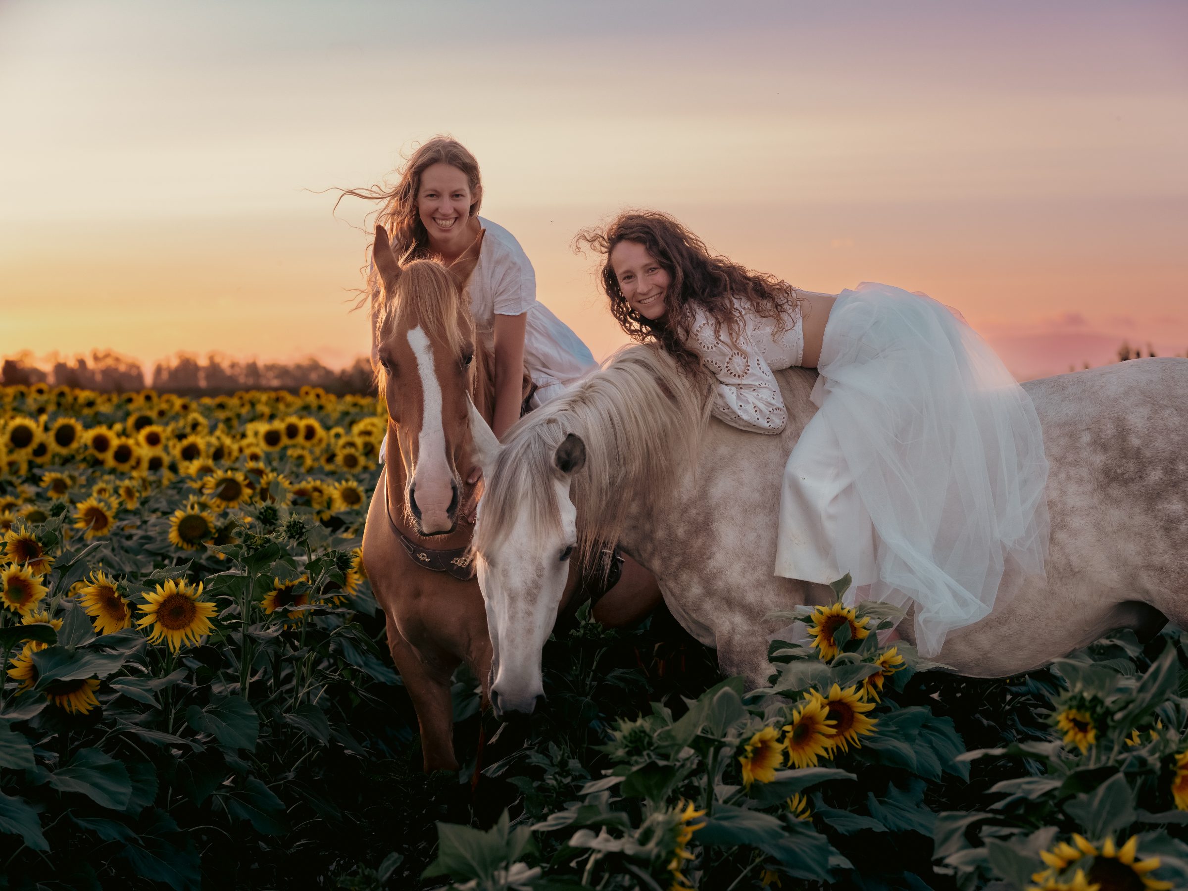 Tanja und Bettina mit ihren Pferden im Sonnenblumenfeld